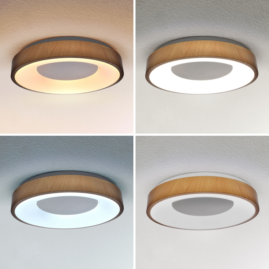 Brilagi - LED Pritemdomas lubinis šviestuvas DORIA LED/48W/230V 3000-6500K diametras 39 cm + nuotolinio valdymo pultas