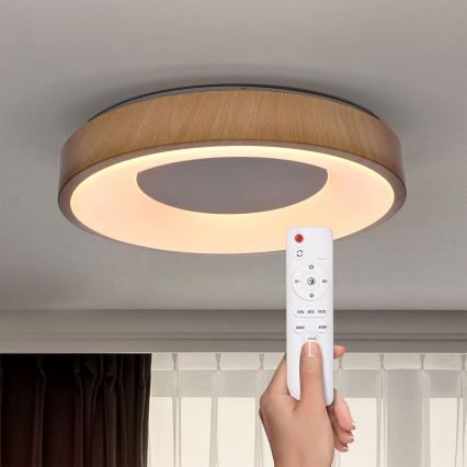 Brilagi - LED Pritemdomas lubinis šviestuvas DORIA LED/48W/230V 3000-6500K diametras 39 cm + nuotolinio valdymo pultas