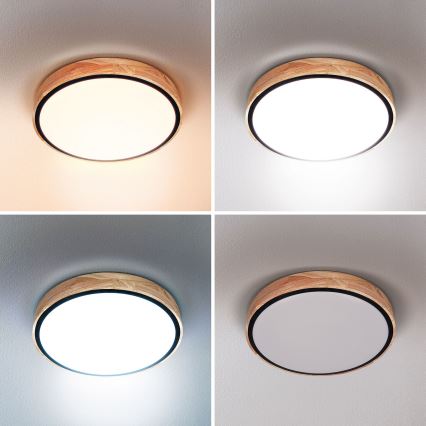 Brilagi - LED Pritemdomas lubinis šviestuvas GLORIA LED/48W/230V 3000-6500K ąžuolas diametras 40 cm + nuotolinio valdymo pultas