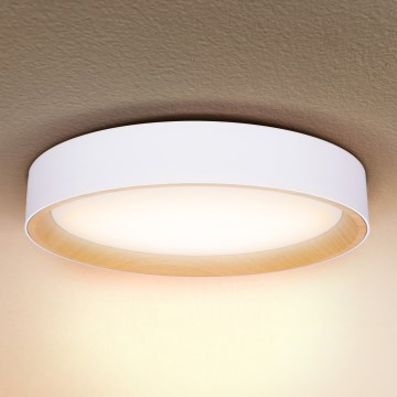 Brilagi - LED Pritemdomas lubinis šviestuvas LARIOS LED/60W/230V 3000-6500K ø 49 cm balta + nuotolinio valdymo pultas