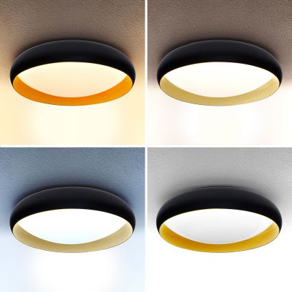 Brilagi - LED Pritemdomas lubinis šviestuvas LIVIA LED/48W/230V 3000-6500K diametras 42 cm + nuotolinio valdymo pultas