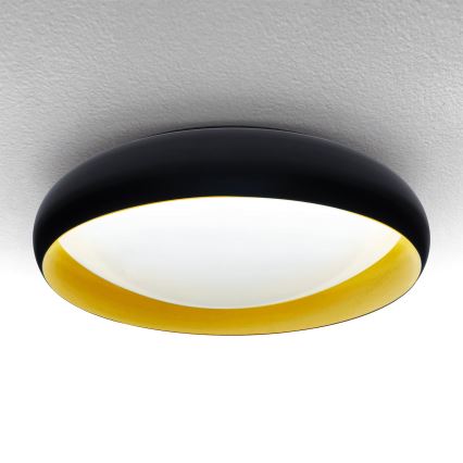 Brilagi - LED Pritemdomas lubinis šviestuvas LIVIA LED/48W/230V 3000-6500K diametras 42 cm + nuotolinio valdymo pultas