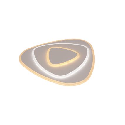 Brilagi - LED Pritemdomas lubinis šviestuvas MODERN LED/58W/230V 2700-6500K 47x48,5 cm+ nuotolinio valdymo pultas