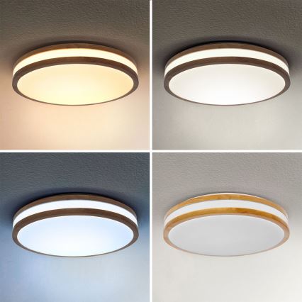 Brilagi - LED Pritemdomas lubinis šviestuvas MOLINA LED/48W/230V 3000-6500K ąžuolas diametras 38 cm + nuotolinio valdymo pultas