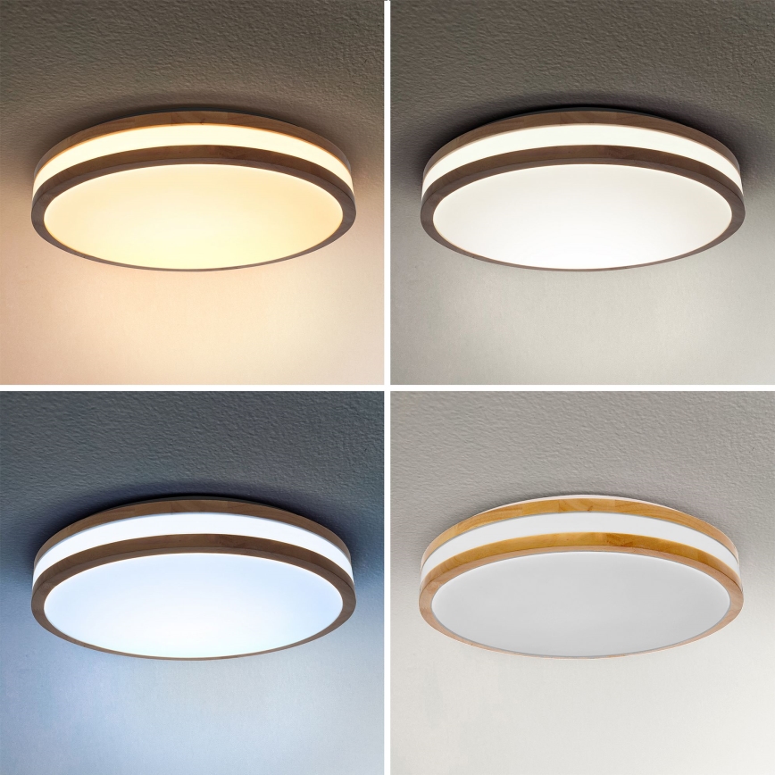 Brilagi - LED Pritemdomas lubinis šviestuvas MOLINA LED/48W/230V 3000-6500K ąžuolas diametras 38 cm + nuotolinio valdymo pultas