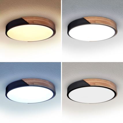 Brilagi - LED Pritemdomas lubinis šviestuvas PILANA LED/48W/230V 3000-6500K ąžuolas diametras 40 cm + nuotolinio valdymo pultas