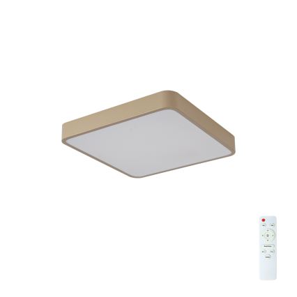 BRILAGI - dimeriuojamas LED lubų šviestuvas POOL SQUARE LED/36W/230V 3000-6000K 40x40 cm smėlio spalvos + nuotolinis valdymas