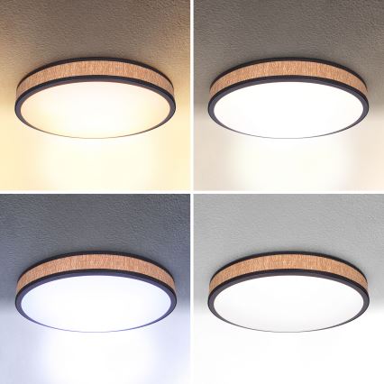 Brilagi - LED Pritemdomas lubinis šviestuvas ROSA LED/48W/230V 3000-6500K diametras 38 cm + nuotolinio valdymo pultas