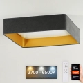 Brilagi - LED Pritemdomas lubinis šviestuvas VELVET SQUARE SMART LED/36W/230V 2700-6500K Wi-Fi Tuya + nuotolinio valdymo pultas pilka