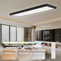 Brilagi - LED pritemdomas lubinis vonios šviestuvas FRAME SMART LED/50W/230V 30x120 cm 3000-6000K IP44 juoda + nuotolinio valdymo pultas