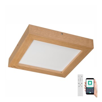 Brilagi - LED pritemdomas lubinis vonios šviestuvas WOODY FRAME LED/24W/230V ąžuolas 30x30 cm 3000-6000K IP44 + nuotolinio valdymo pultas