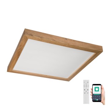 Brilagi - LED pritemdomas lubinis vonios šviestuvas WOODY FRAME LED/50W/230V ąžuolas 60x60 cm 3000-6000K IP44 + nuotolinio valdymo pultas