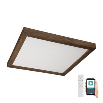 Brilagi - LED pritemdomas lubinis vonios šviestuvas WOODY FRAME LED/50W/230V ąžuolas 60x60 cm 3000-6000K IP44 + nuotolinio valdymo pultas