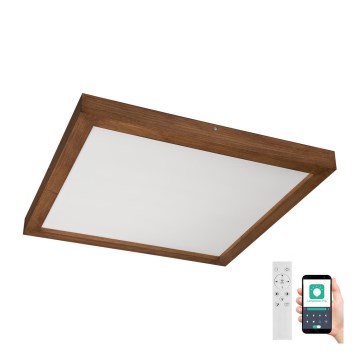 Brilagi - LED pritemdomas lubinis vonios šviestuvas WOODY FRAME LED/50W/230V ąžuolas vyšnia 60x60 cm 3000-6000K IP44 + nuotolinio valdymo pultas