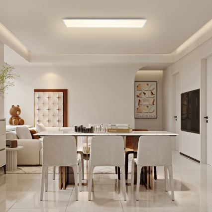Brilagi - reguliuojamo ryškumo LED lubinis šviestuvas SLIMFRAME LED/58W/230V 120x30 cm 3000-6000K balta + nuotolinis valdymas
