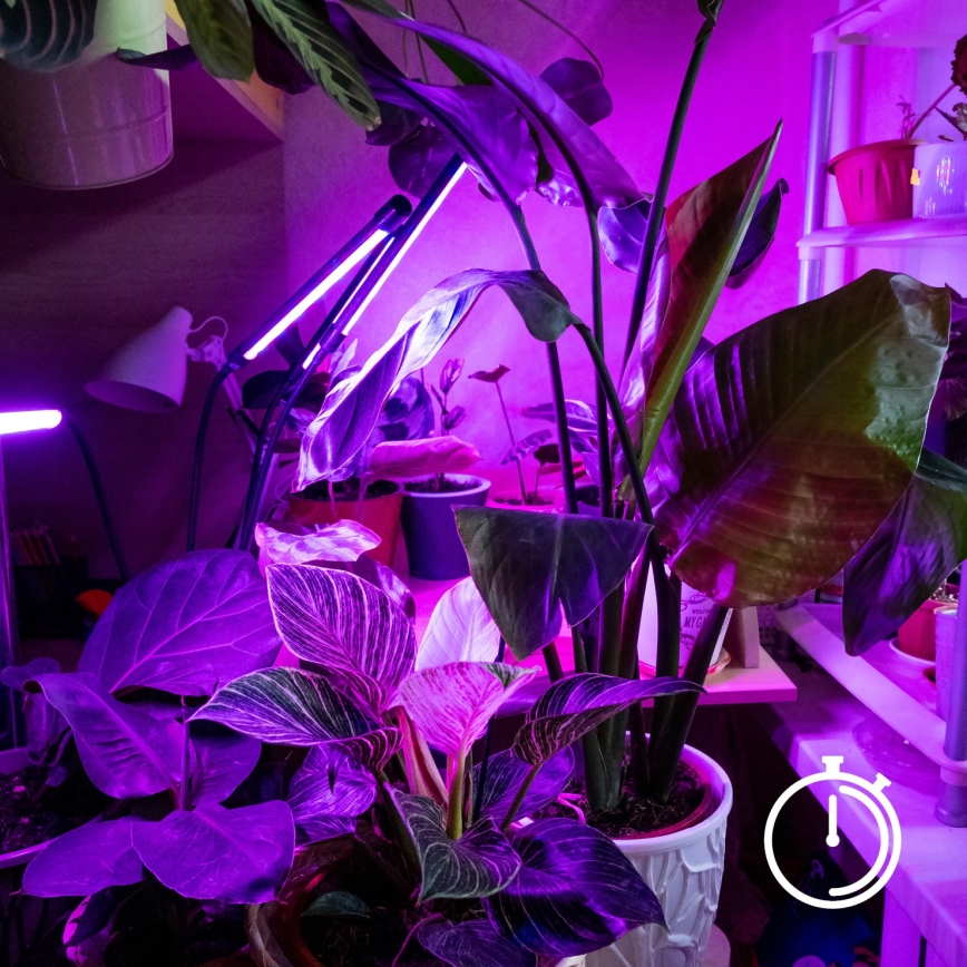 Brilagi - LED Pritemdomas lankstus Stalinis šviestuvas su segtuku augalams auginti VITABLOOM 3xLED/10W/230V juoda
