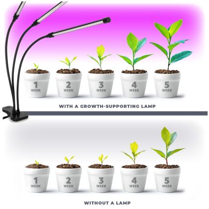 Brilagi - LED Pritemdomas lankstus Stalinis šviestuvas su segtuku augalams auginti VITABLOOM 3xLED/10W/230V juoda