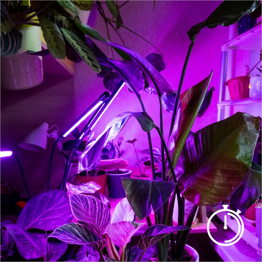 Brilagi - LED Pritemdomas lankstus Toršeras augalams auginti VITABLOOM 4xLED/7,5W/230V juoda
