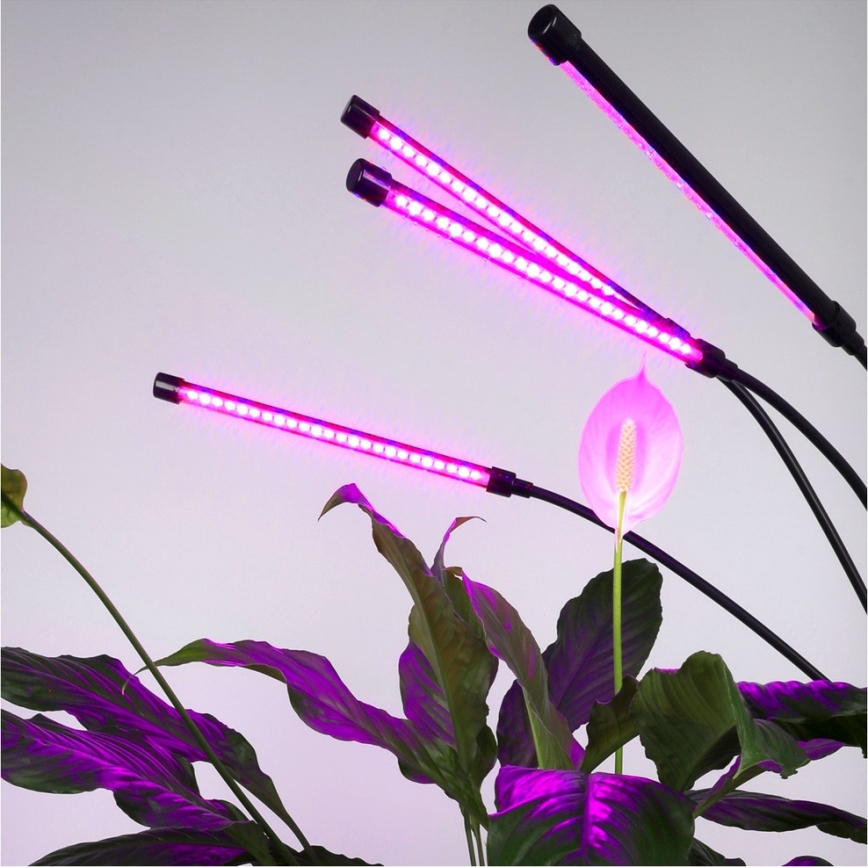 Brilagi - LED Pritemdomas lankstus Toršeras augalams auginti VITABLOOM 4xLED/7,5W/230V juoda