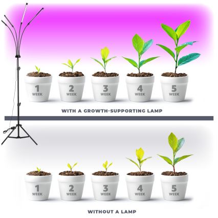 Brilagi - LED Pritemdomas lankstus Toršeras augalams auginti VITABLOOM 4xLED/7,5W/230V juoda