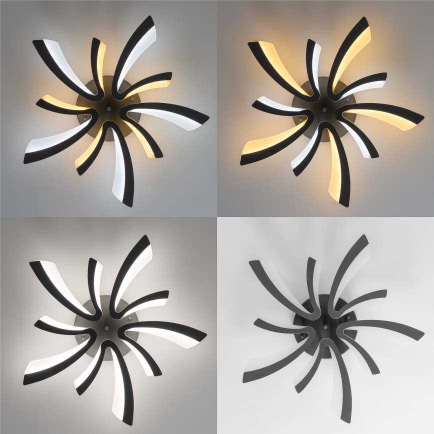 Brilagi - LED Pritemdomas tvirtinamas sietynas TWIST LED/55W/230V 3000-6500K antracitas + nuotolinio valdymo pultas