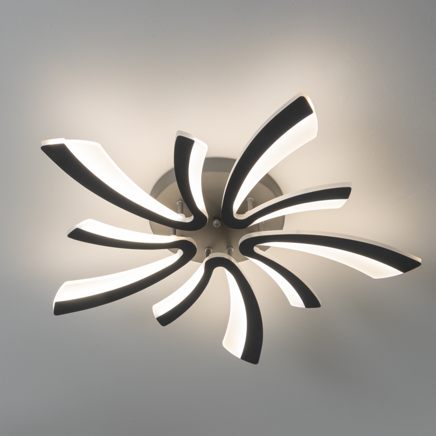 Brilagi - LED Pritemdomas tvirtinamas sietynas TWIST LED/55W/230V 3000-6500K antracitas + nuotolinio valdymo pultas