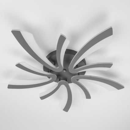 Brilagi - LED Pritemdomas tvirtinamas sietynas TWIST LED/55W/230V 3000-6500K antracitas + nuotolinio valdymo pultas