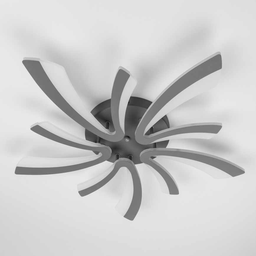 Brilagi - LED Pritemdomas tvirtinamas sietynas TWIST LED/55W/230V 3000-6500K antracitas + nuotolinio valdymo pultas
