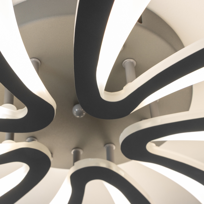 Brilagi - LED Pritemdomas tvirtinamas sietynas TWIST LED/55W/230V 3000-6500K antracitas + nuotolinio valdymo pultas