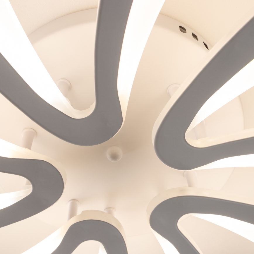 Brilagi - LED Pritemdomas tvirtinamas sietynas TWIST LED/55W/230V 3000-6500K balta + nuotolinio valdymo pultas