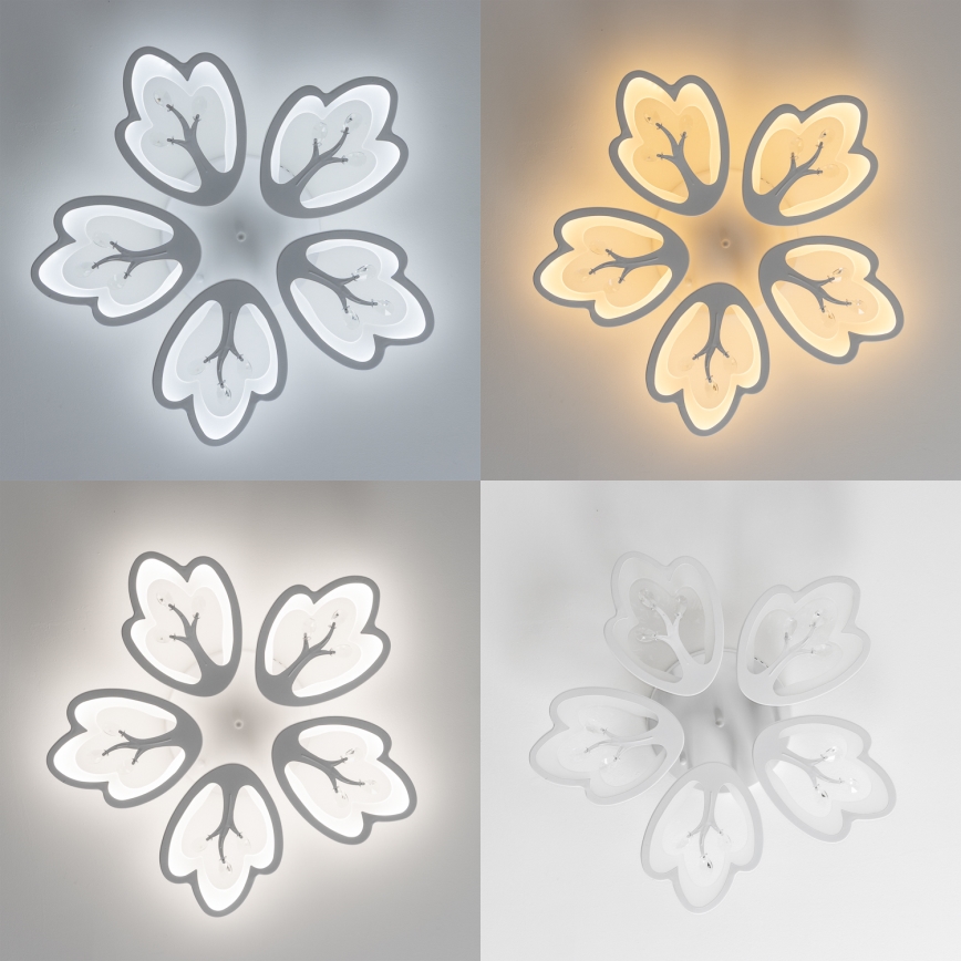 Brilagi - LED Pritemdomas tvirtinamas sietynas TWIST LED/80W/230V 3000-6500K balta + nuotolinio valdymo pultas