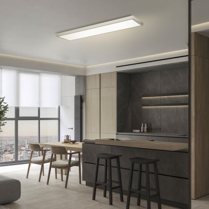 Brilagi - LED pritemdomas lubinis vonios šviestuvas FRAME SMART LED/50W/230V 120x30 cm 3000-6000K IP44 sidabras + nuotolinio valdymo pultas