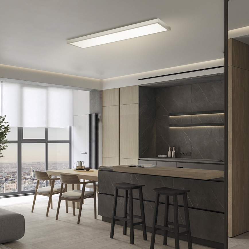 Brilagi - LED pritemdomas lubinis vonios šviestuvas FRAME SMART LED/50W/230V 120x30 cm 3000-6000K IP44 sidabras + nuotolinio valdymo pultas