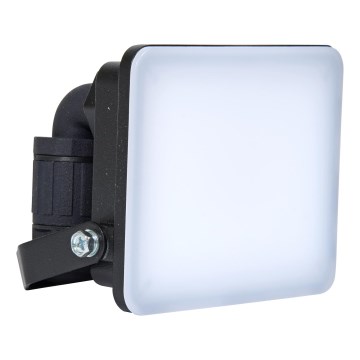 Brilagi - LED prožektorius ELARA PRO LED/10W/230V IP65