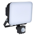 BRILAGI - LED prožektorius su jutikliu ELARA PRO LED/30W/230V IP65