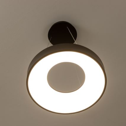 Brilagi - LED dimeriuojamas pakabinamas šviestuvas ant laido FALCON II LED/67W/230V 3000-6500K skersm. 40 cm juodas + su nuotolinio valdymo pultu