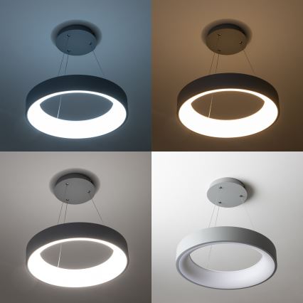 Brilagi - reguliuojamas LED pakabinamas šviestuvas ant kabelio FALCON LED/80W/230V 3000-6500K skersmuo 60 cm pilka + nuotolinis valdymas