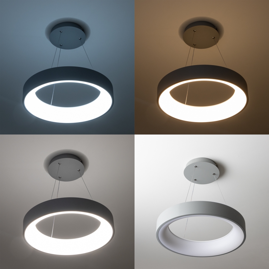 Brilagi - reguliuojamas LED pakabinamas šviestuvas ant kabelio FALCON LED/80W/230V 3000-6500K skersmuo 60 cm pilka + nuotolinis valdymas