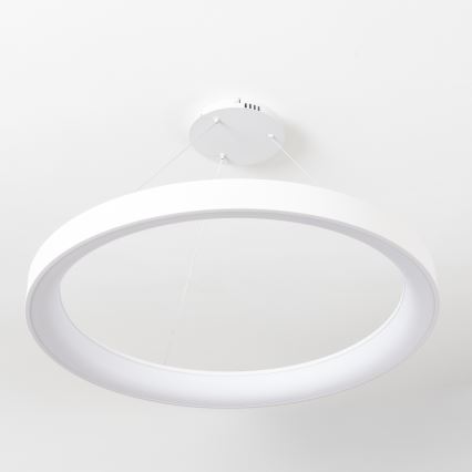 Brilagi - LED dimeriuojamas pakabinamas šviestuvas ant troselio FALCON II LED/108W/230V 3000-6500K skersm. 80 cm balta + su nuotoliniu pulteliu