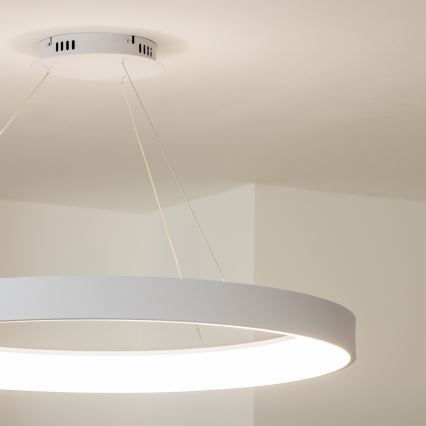 Brilagi - LED dimeriuojamas pakabinamas šviestuvas ant troselio FALCON II LED/108W/230V 3000-6500K skersm. 80 cm balta + su nuotoliniu pulteliu
