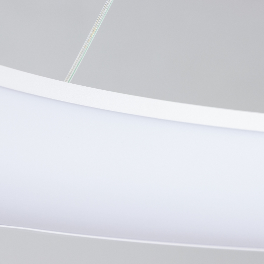 Brilagi - LED dimeriuojamas pakabinamas šviestuvas ant troselio FALCON II LED/108W/230V 3000-6500K skersm. 80 cm balta + su nuotoliniu pulteliu