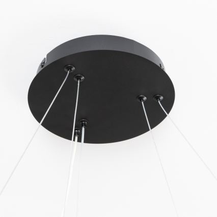 Brilagi - dimeriuojamas LED pakabinamas šviestuvas ant laido FALCON SLIM LED/68W/230V 3000-6500K Ø 50 cm juodas + nuotolinis valdymas