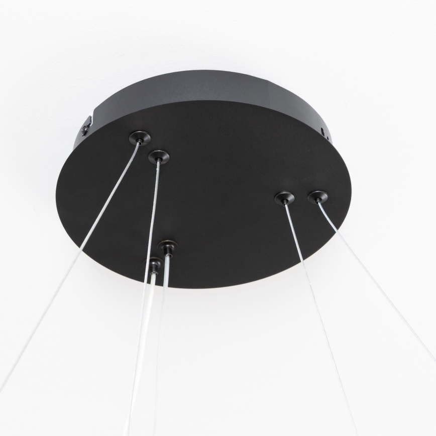 Brilagi - dimeriuojamas LED pakabinamas šviestuvas ant laido FALCON SLIM LED/68W/230V 3000-6500K Ø 50 cm juodas + nuotolinis valdymas