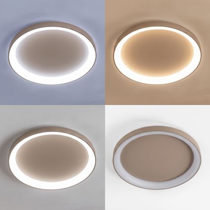 BRILAGI - LED dimeriuojamas lubinis šviestuvas FALCON II LED/108W/230V 3000-6500K skersmuo 80 cm smėlinė + su nuotolinio valdymo pulteliu