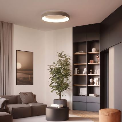 BRILAGI - Dimeriuojamas LED lubų šviestuvas FALCON II LED/99W/230V 3000-6500K skersmuo 60 cm balta/smėlinė + nuotolinis valdymas