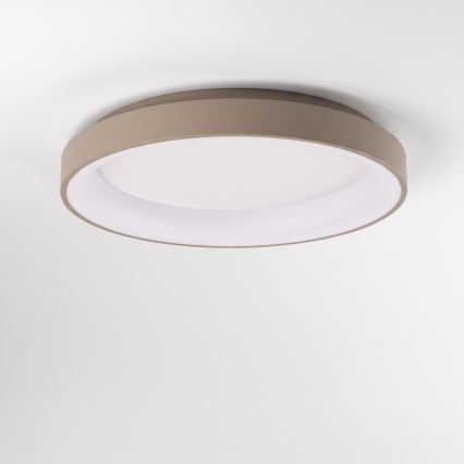 BRILAGI - Dimeriuojamas LED lubų šviestuvas FALCON II LED/99W/230V 3000-6500K skersmuo 60 cm balta/smėlinė + nuotolinis valdymas