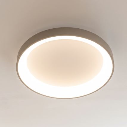 BRILAGI - Dimeriuojamas LED lubų šviestuvas FALCON II LED/99W/230V 3000-6500K skersmuo 60 cm balta/smėlinė + nuotolinis valdymas