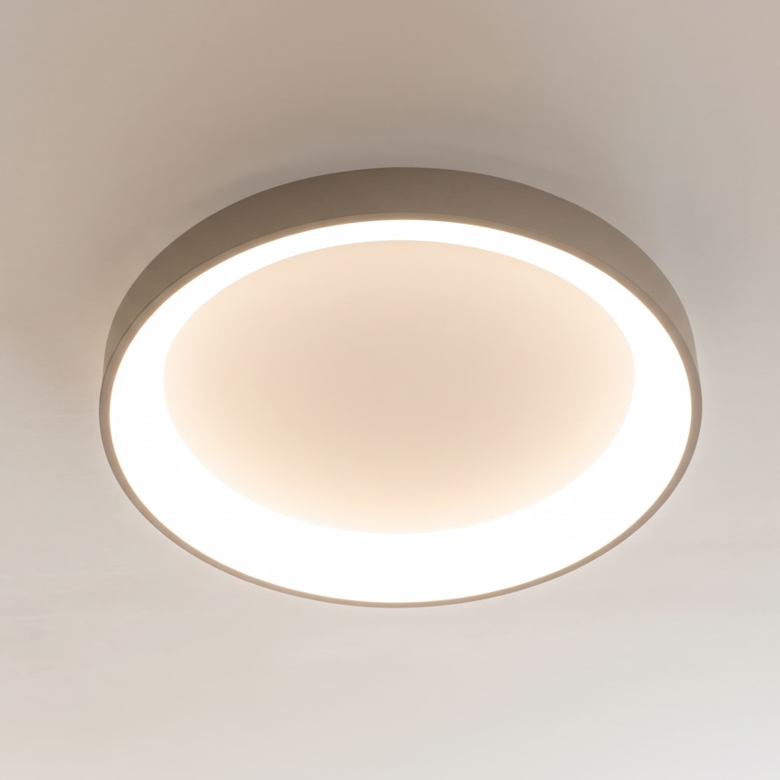 BRILAGI - Dimeriuojamas LED lubų šviestuvas FALCON II LED/99W/230V 3000-6500K skersmuo 60 cm balta/smėlinė + nuotolinis valdymas