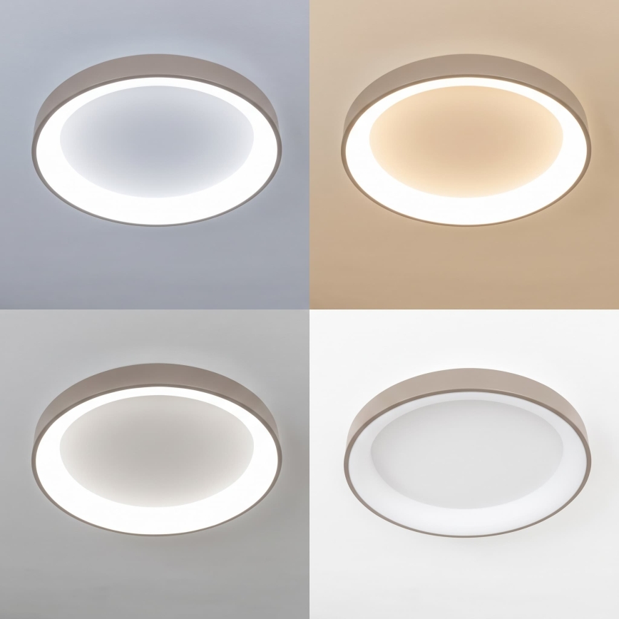 BRILAGI - Dimeriuojamas LED lubų šviestuvas FALCON II LED/99W/230V 3000-6500K skersmuo 60 cm balta/smėlinė + nuotolinis valdymas