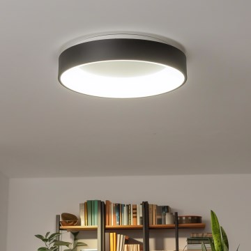 Brilagi - LED reguliuojamas lubinis šviestuvas FALCON LED/80W/230V 3000-6500K, skersmuo 60 cm, juodas + nuotolinio valdymo pultas